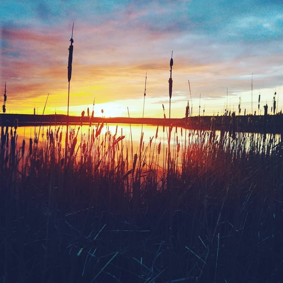 Meet your Posher, Madison - Picture 1 of 1